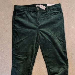 Loft (NWT) Velvet Skinny pants